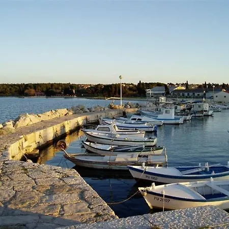 Snjezana *