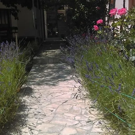 Snjezana Apartment Fazana